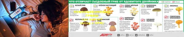 стафф Аркадак