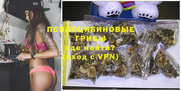 стафф Аркадак