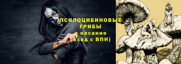 эйфоретик Алзамай