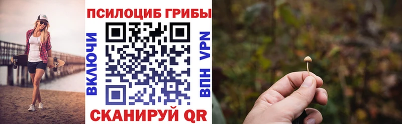 Галлюциногенные грибы Magic Shrooms мега ТОР Лагань магазин продажи наркотиков